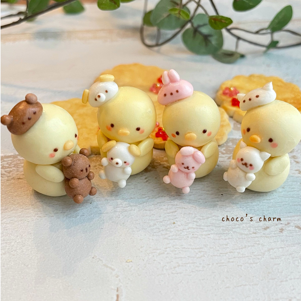 choco’s charm