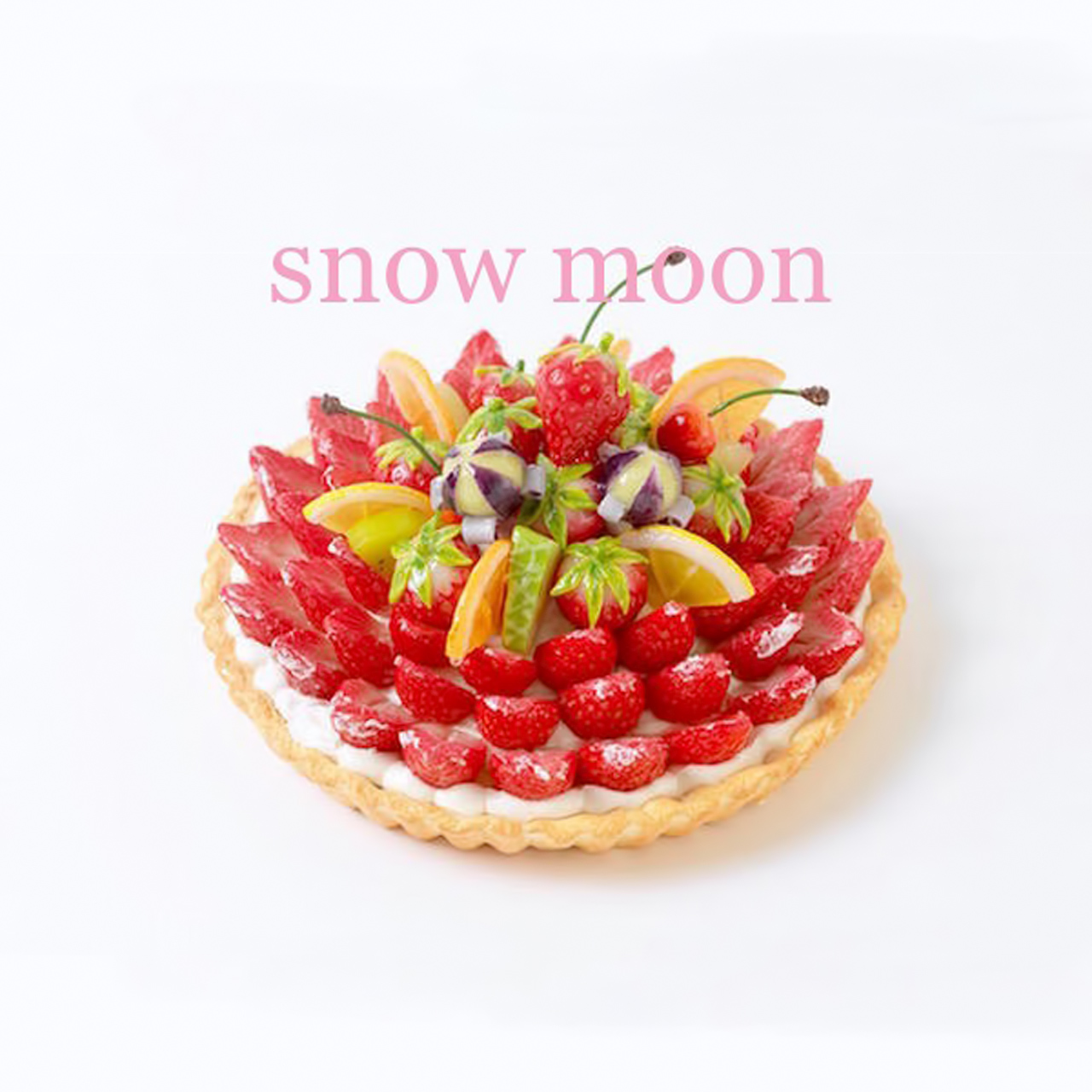 snow moon - スノームーン